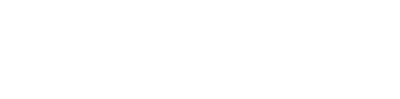 BORZ GROUP